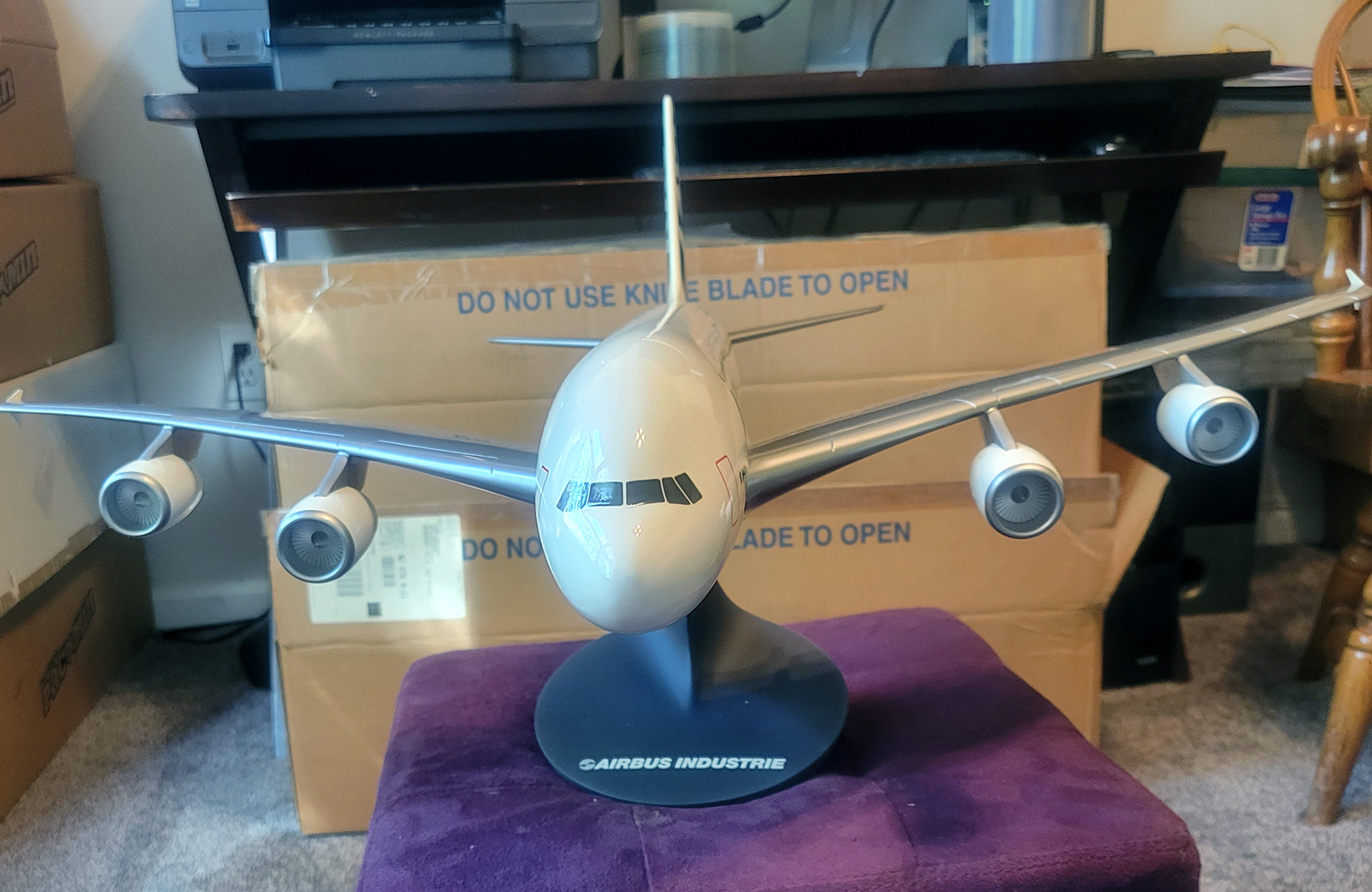 Pacmin 1/100 Airbus A3XX House Colours model for sale