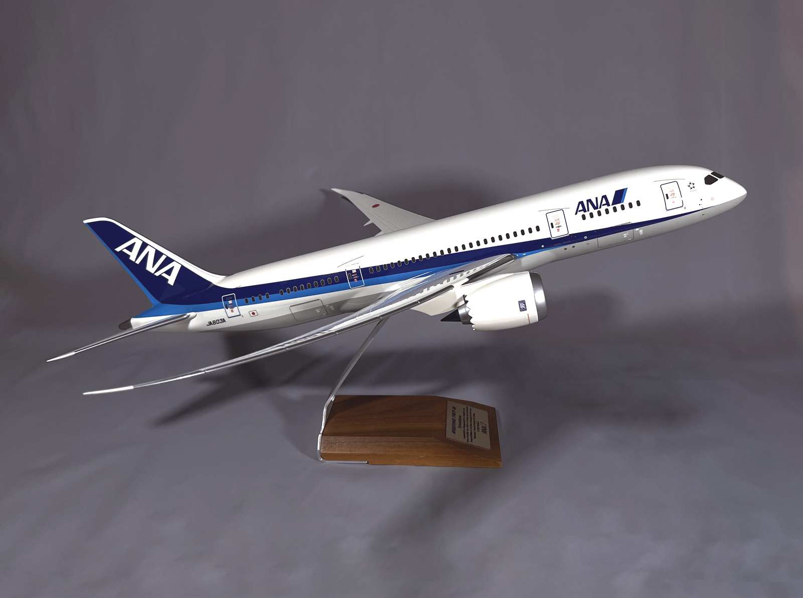 Pacmin 1/100 ANA Boeing 878-8 model for sale