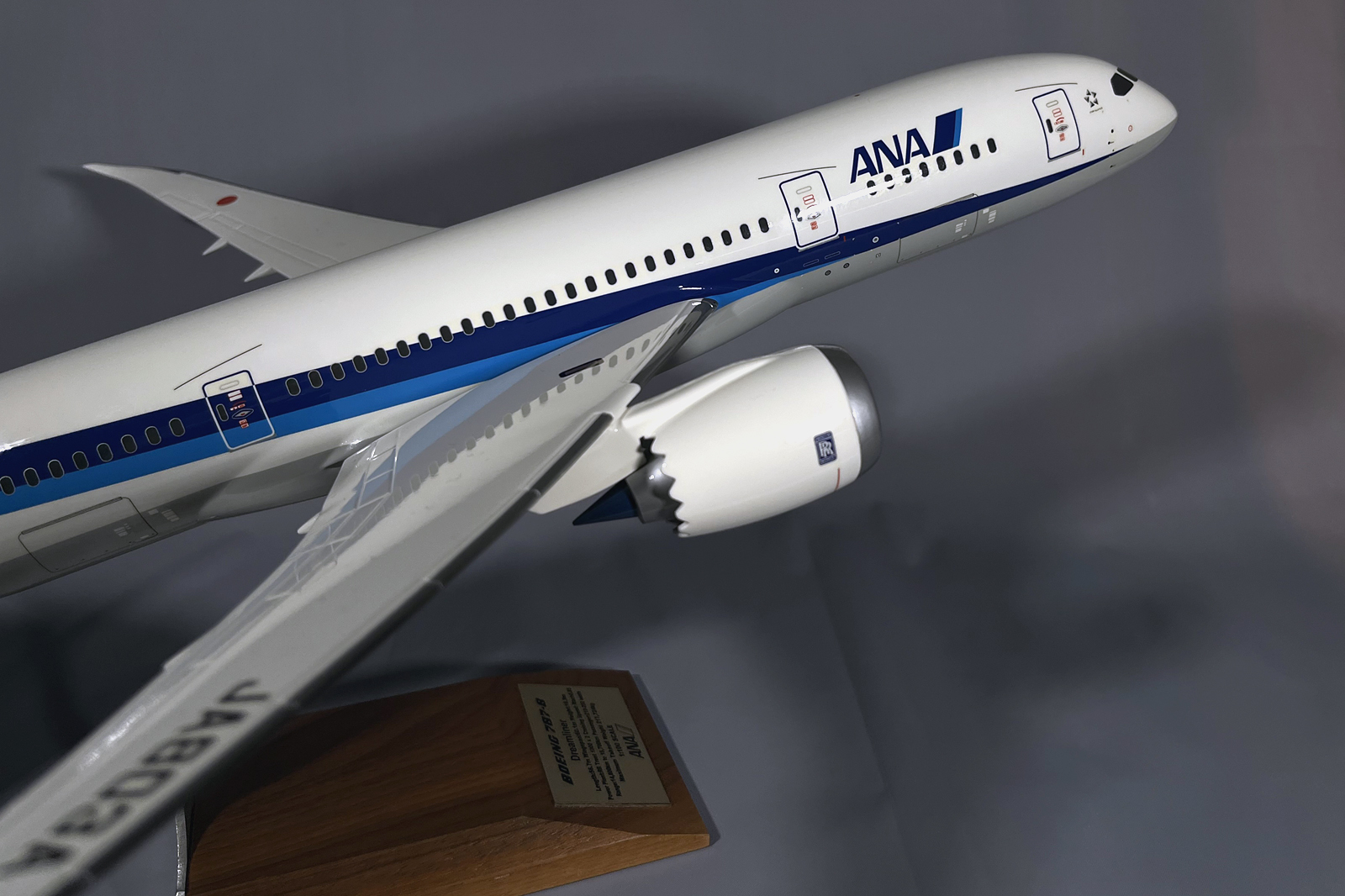 Pacmin 1/100 ANA Boeing 878-8 model for sale