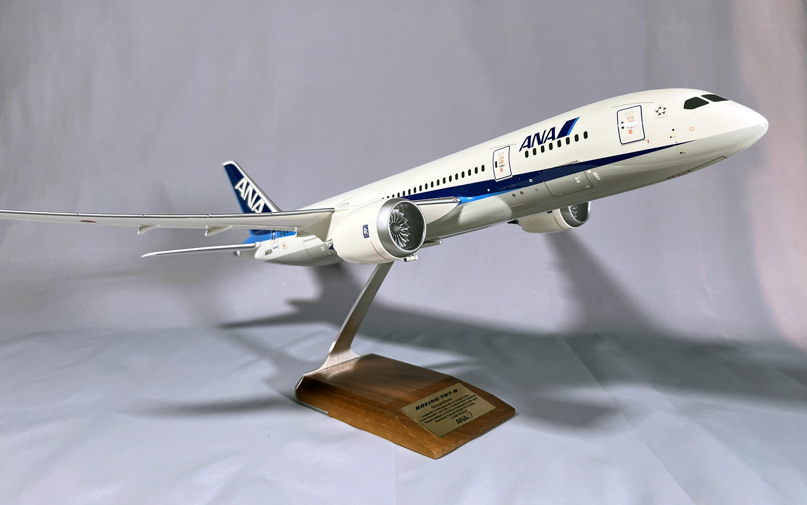 Pacmin 1/100 ANA Boeing 878-8 model for sale