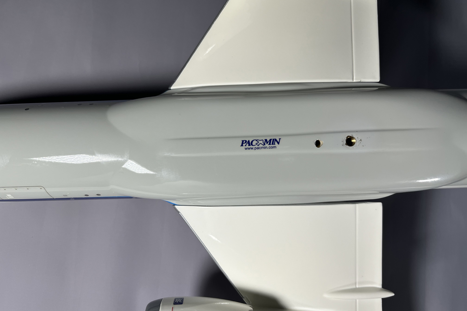 Pacmin 1/100 ANA Boeing 878-8 model for sale