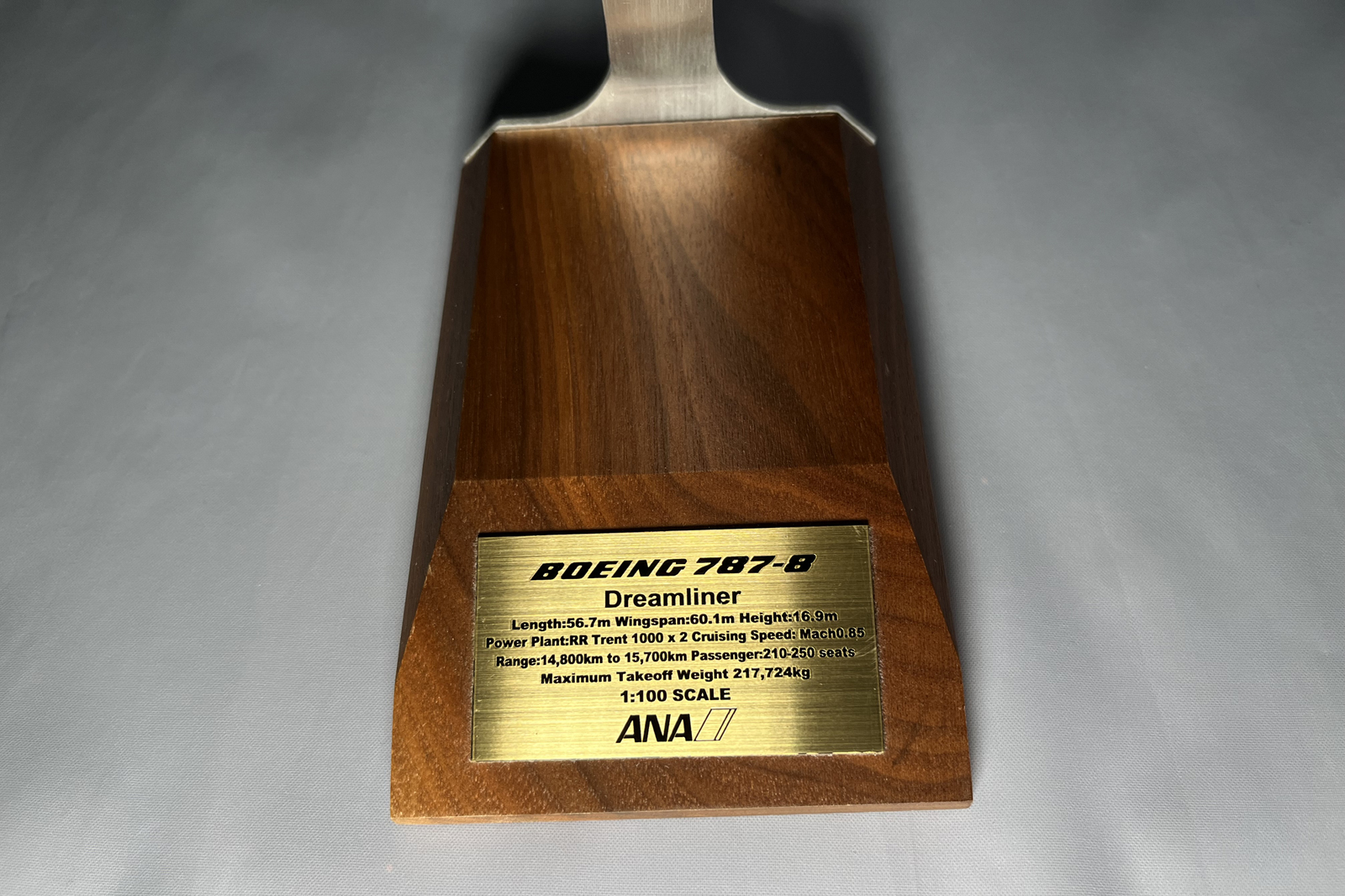 Pacmin 1/100 ANA Boeing 878-8 model for sale