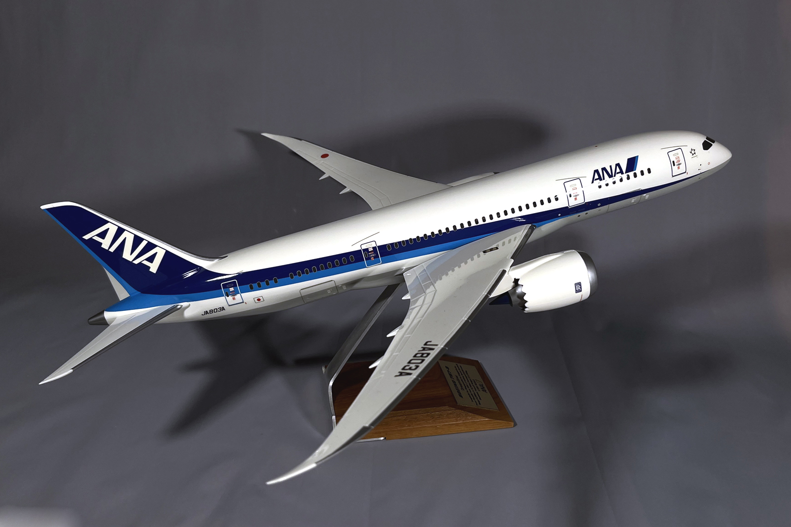 Pacmin 1/100 ANA Boeing 878-8 model for sale