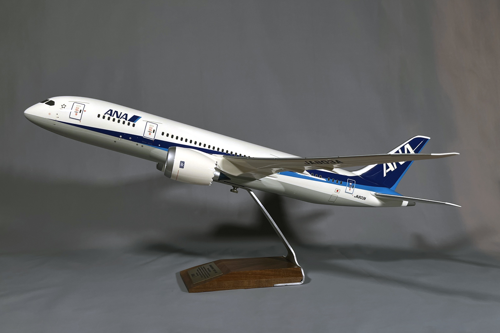 Pacmin 1/100 ANA Boeing 878-8 model for sale