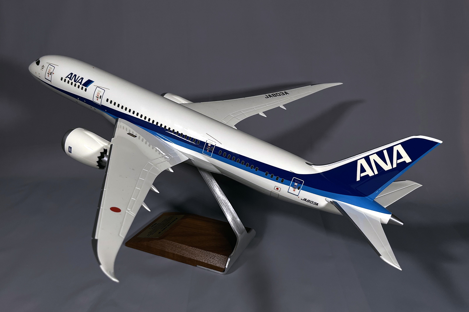 Pacmin 1/100 ANA Boeing 878-8 model for sale