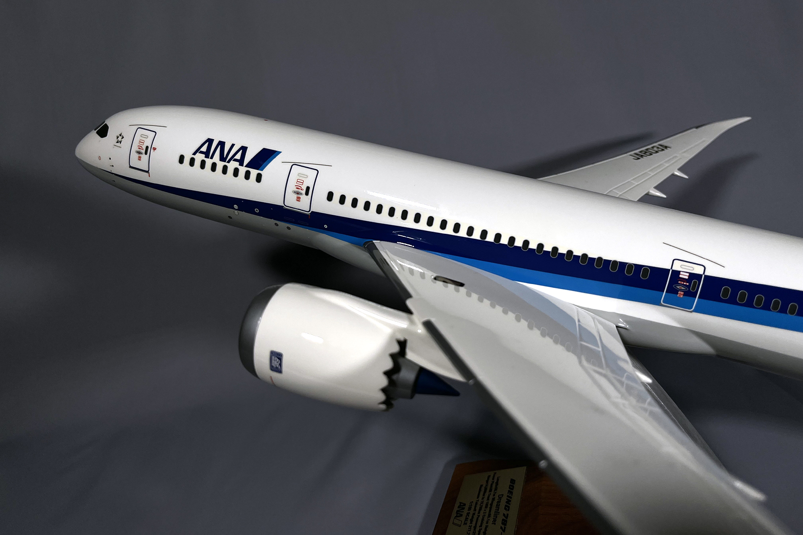 Pacmin 1/100 ANA Boeing 878-8 model for sale