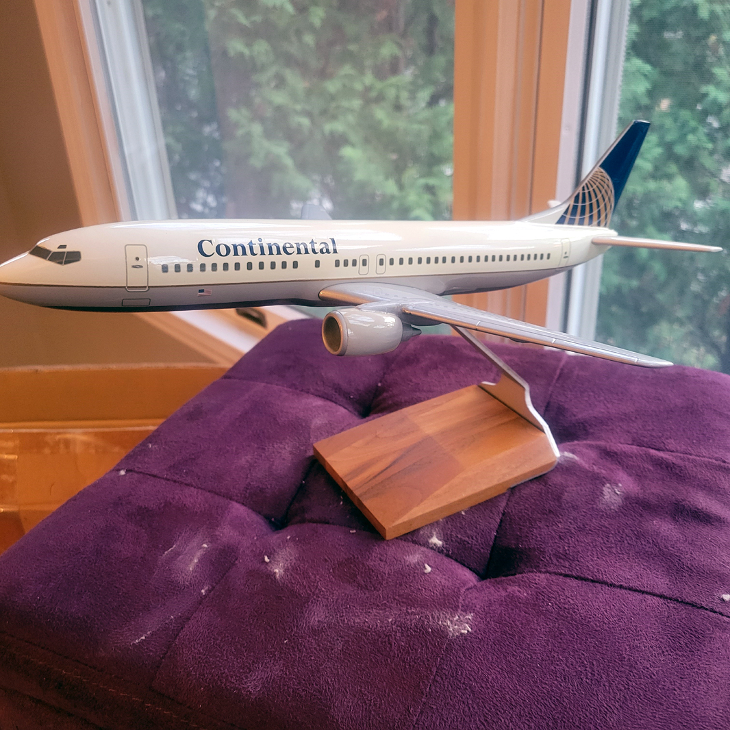 Pacmin 1/100 Continental Airlines Boeing 737-700 model for sale
