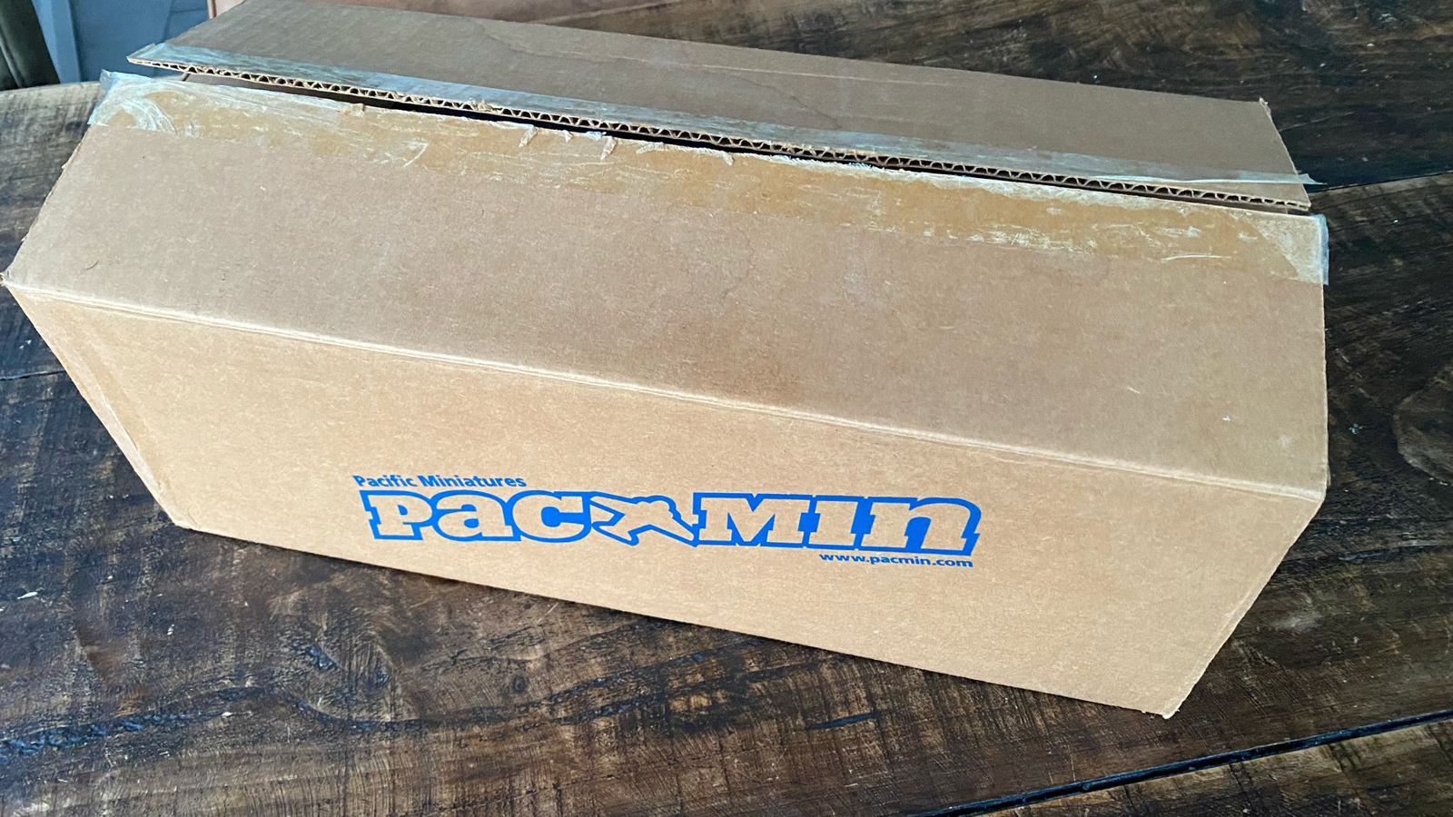 Pacmin 1/100 EasyJet Boeing 737-700 model for sale