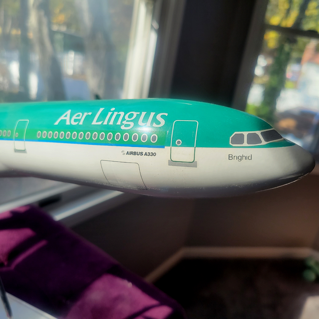 Graphideco 1/100 Aer Lingus Airbus A330-300 model for sale