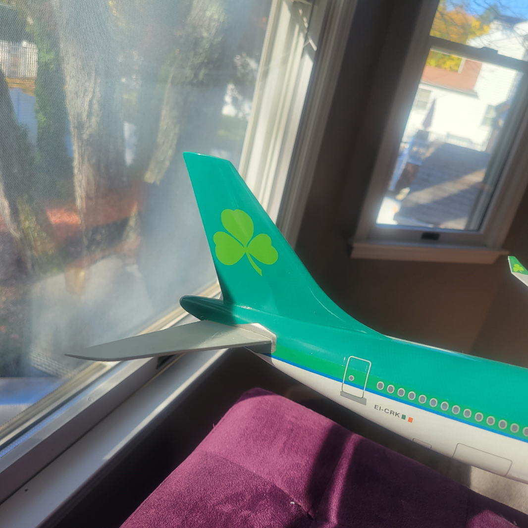 Graphideco 1/100 Aer Lingus Airbus A330-300 model for sale