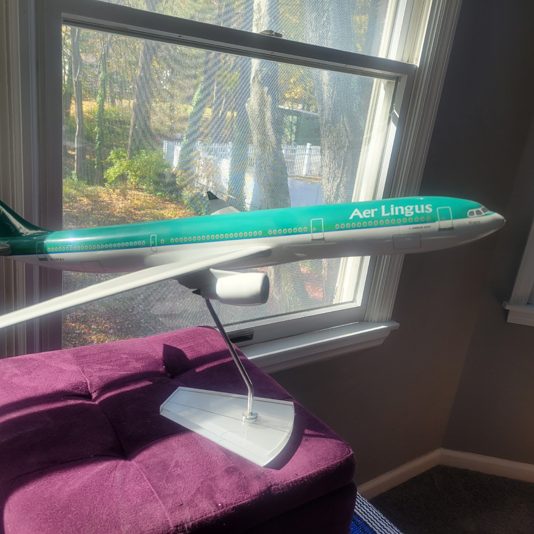 Graphideco 1/100 Aer Lingus Airbus A330-300 model for sale